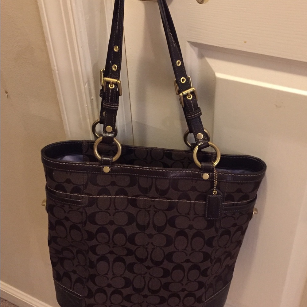 Chocolate brown Coach bag with dust cover